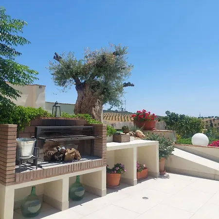 Casa Del Olivo Lucio En Alomartes