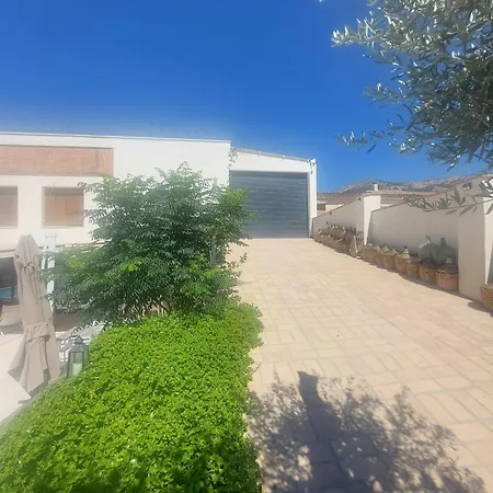 Casa Del Olivo Lucio En 펜션 *